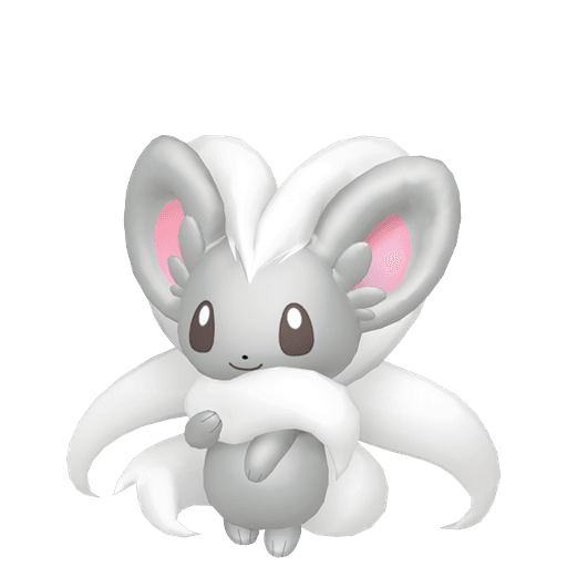Cinccino