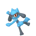 Riolu