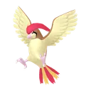 Pidgeotto