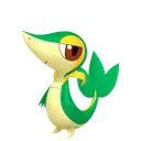 Snivy