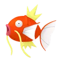 Magikarp