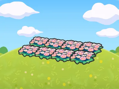 Field of Flowers