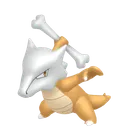 Marowak