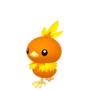 Torchic