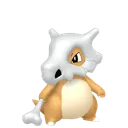 Cubone